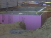 05_11_19_pretty in pink2.jpg